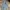 longpants baggy y2k ecko unltd bigpocket photo 1