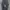 Nike Sweat Parachute Pants Trackpants Hiking Tracking Pants photo 4