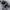 Nike Sweat Parachute Pants Trackpants Hiking Tracking Pants photo 7