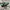 ADIDAS HANDBALL SPEZIAL GREEN WHITE photo 4
