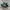 ADIDAS HANDBALL SPEZIAL GREEN WHITE photo 1