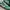 ADIDAS HANDBALL SPEZIAL GREEN WHITE photo 2