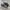 ADIDAS HANDBALL SPEZIAL DARK GREY photo 1