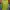 Cosplay Gilet Wanita Multicolor Green