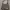 Nine West Casual Shoulder bag Wanita tan photo 3