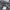 NBA Los Angeles Lakers Kaos Shirt Gray photo 4