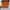 Pretty little things Crop top in Orange photo 3
