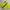 HUF Streetwear Sportswear Track jacket Pria yellow black photo 3