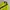 HUF Streetwear Sportswear Track jacket Pria yellow black photo 2