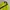 HUF Streetwear Sportswear Track Jacket Pria Yellow Black