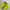 HUF Streetwear Sportswear Track jacket Pria yellow black photo 1