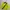 HUF Streetwear Sportswear Track Jacket Pria Yellow Black
