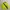 HUF Streetwear Sportswear Track jacket Pria yellow black photo 5
