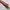 VINTAGE TIE'S PARADISO RHODIA ITALY photo 3
