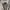 Adidas Basket Profi OG Hi Second photo 2
