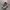 Converse Streetwear Sneakers Pria red photo 1