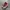 Converse Streetwear Sneakers Pria Red