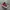 Converse Streetwear Sneakers Pria red photo 2