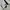Asics Short Sport Pants photo 3