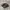 Adidas Spezial Handball Dark Grey Black photo 1