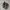 Adidas Spezial Handball Dark Grey Black photo 3