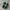 Adidas Spezial Handball Collagiate Green photo 3