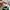 Adidas Spezial Handball Collagiate Green photo 6