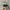 Adidas Spezial Handball Collagiate Green photo 4