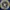 Parody USN Public Function Navy Crewneck Sweatshirt photo 2