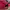 ALABAMA CAP OFFICIAL