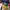OAKLAND ATHLETICS MLB CAP photo 1