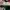 OAKLAND ATHLETICS MLB CAP photo 3
