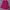 rok midi photo 1