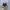 Air Jordan 1 Low Shadow Smoke Grey photo 4
