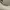 Osoi Toni Mini Grey photo 5