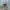 Air Jordan 1 Low Wolf Grey photo 4