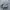 Air Jordan 1 Low Wolf Grey photo 1