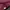 Louis Vuitton Vintage Luxury Shoulder Bag Wanita Brown
