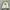 Vintage Streetwear Bomber jacket Pria cream black photo 4