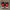 Nike Sportswear Casual Sneakers Pria black red photo 5