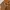 Furla Minimalist Casual Crossbody Bag Wanita brown photo 5