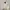 McGregor Vintage Casual Bomber Jacket Pria Cream