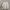 McGregor Vintage Casual Bomber Jacket Pria Cream