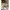 Skechers Ricardo Cavolo Boots Sneakers Roadies Surg photo 4