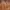MCM Luxury Handbag Wanita Brown