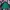 New Yorker Coat Jaket photo 5