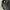 Prestons jeans baggy pants photo 6