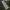 Hollister Streetwear Casual Hoody Pria green photo 4