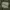 Hollister Streetwear Casual Hoody Pria green photo 3