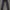Celana Sport Trackpants Legging Skechers Hitam photo 1